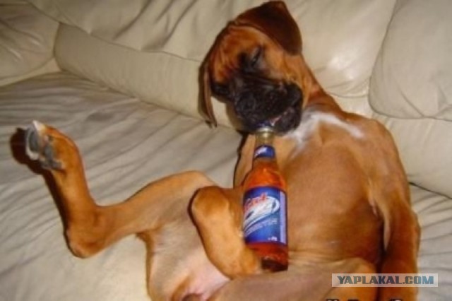 Пятничные кубы