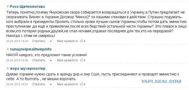 США настаивают на "особом статусе" оккупированного Донбасса и амнистии боевиков - нардеп после встречи с Нуланд