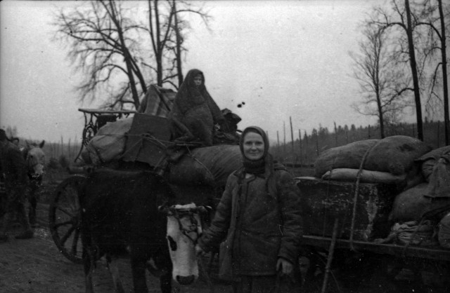 Фотографии к "Нахальному минированию" и "Лехе"-2