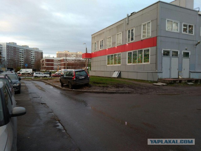 Как я стал крысой