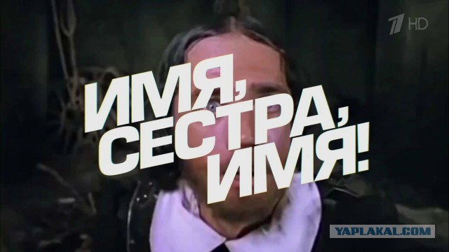 Как в Ростове борются с нечистоплотными соседями