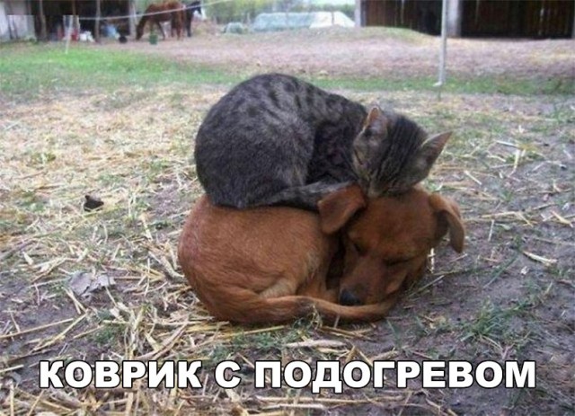От работы тяжёлой не ной, пост с картинками для отдыха открой!