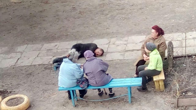 Чудики из социальных сетей