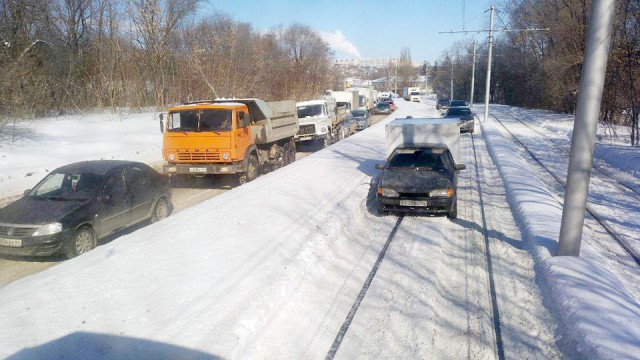 Олень дня
