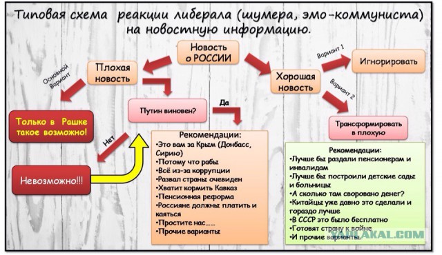 «Это точно Россия, а не африканская деревня?»: подросток из Финляндии отравился в Тверской области
