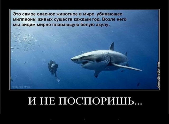 Вызывайте серпентолога! И психотерапевта! Его помощь не помешает клиенту краснодарской парикмахерской.