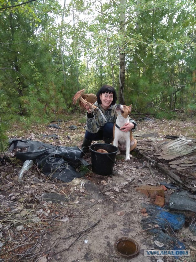 Собакочетверг же 19 09 2019
