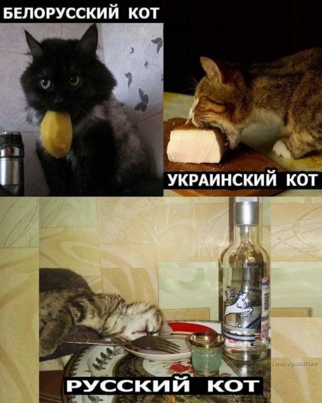 Аморалка