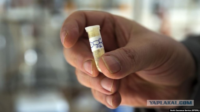 Это все НЕПРАВДА! Первый канал снял с эфира сюжет о неэффективности российских лекарств
