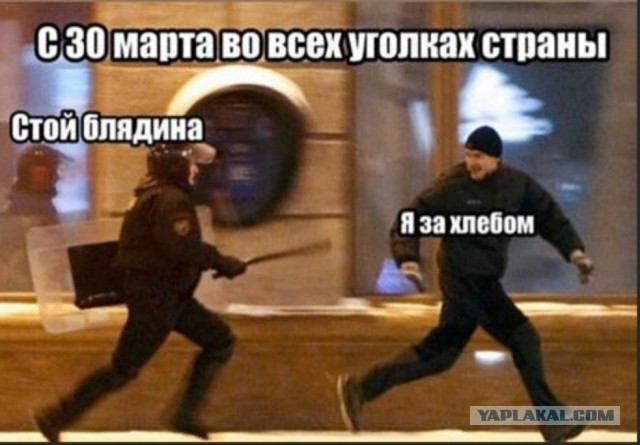 Пандемия. Коронавирус. Россия и мир. Последняя информация. Часть 11