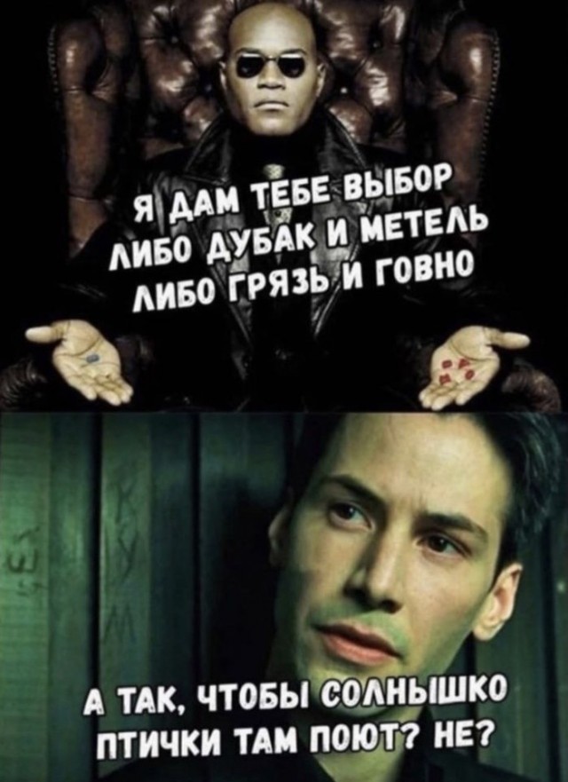 Юмор и прикольные картинки