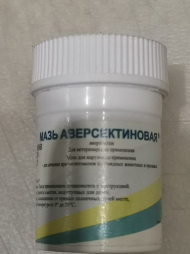 Последняя картинка в вашей Галерее/Загрузках