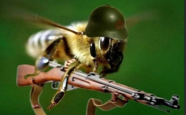 А это уже не шутки...