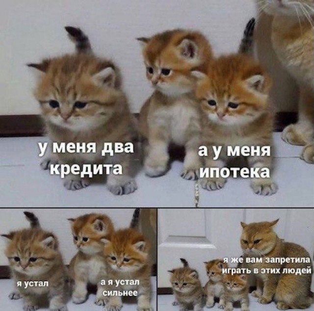 Так себе картинки 18.04.22