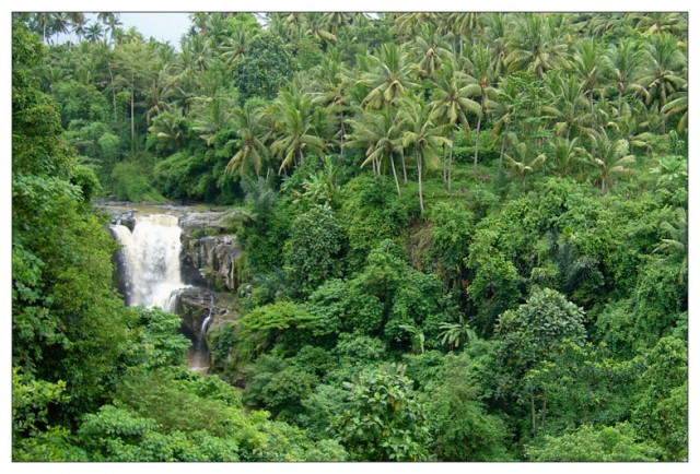 Мы на о. Бали / Индонезия.