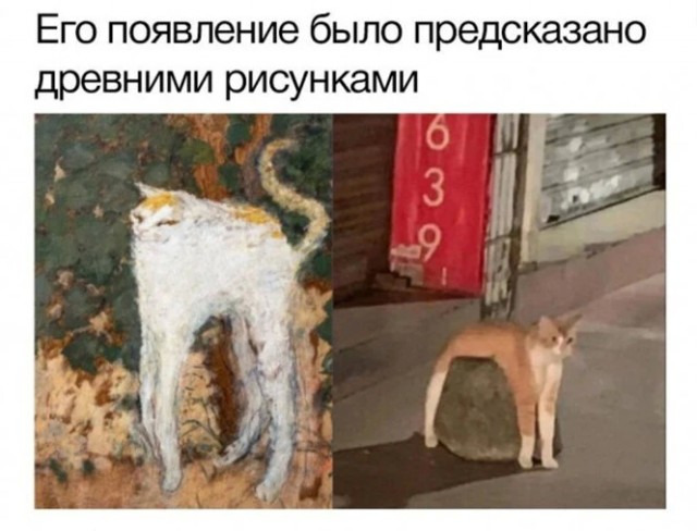 Баянисто-небаянистый юмор 30.07.22