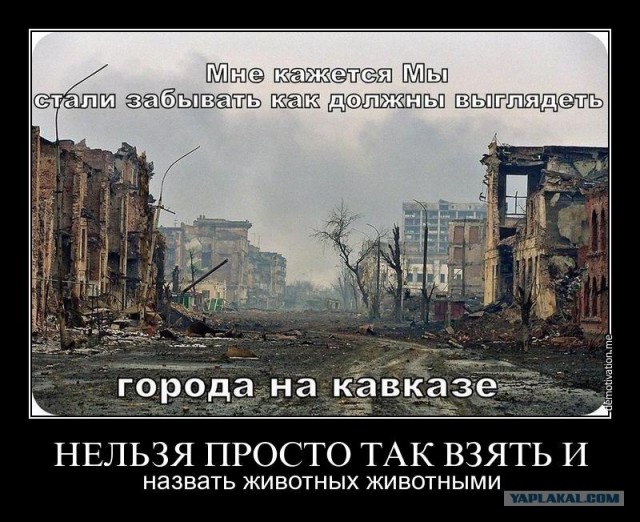 К событиям в Рязани: таксисты обижают кавказцев?