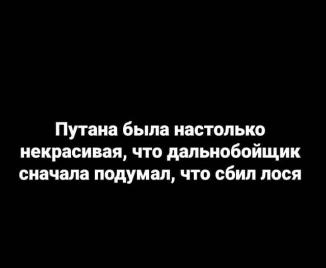 Весёлый полтишок 12.10.22