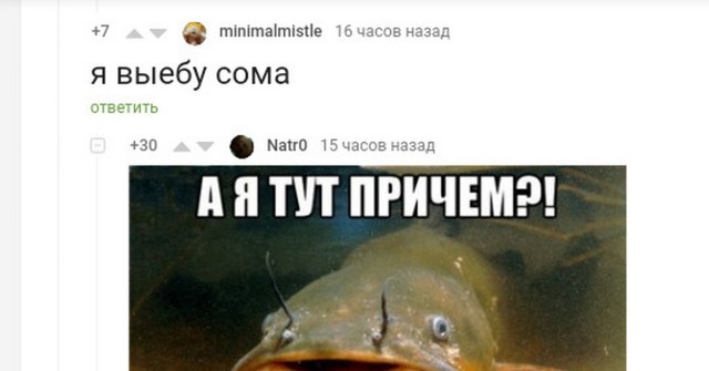 Сомоеды