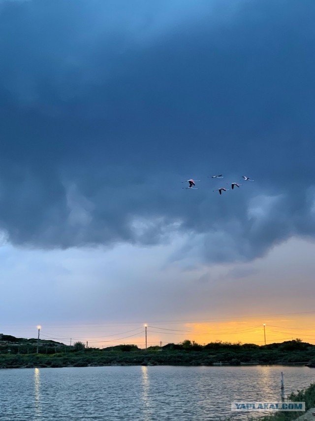 Wildberries охреневает дальше! Продолжение темы про гигантские штрафы за продажу курительной продукции