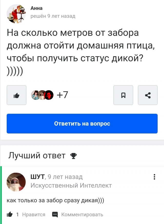 Сбила гуся и счастлива⁠⁠