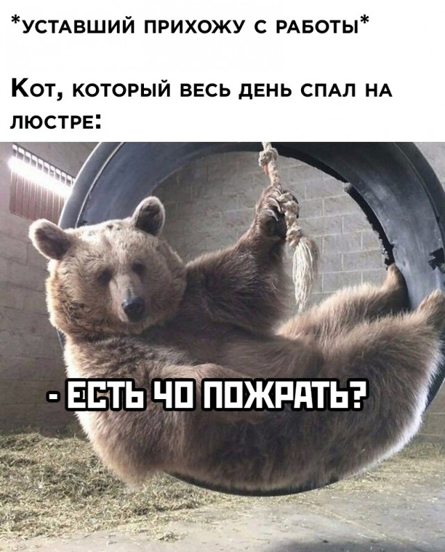 Скупка краденого из сети 09-08-2023
