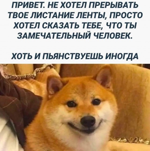 Ну как ты там?