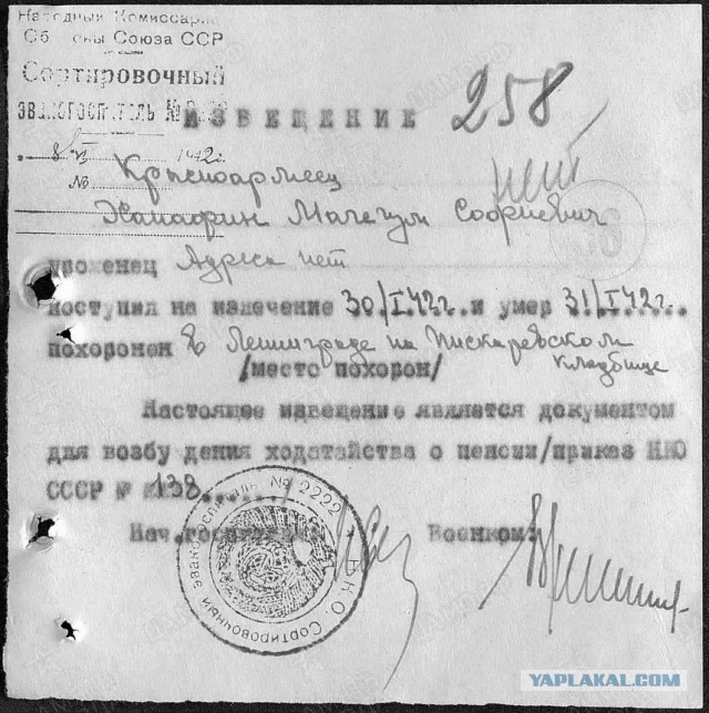 "Быть может, вы будете знать о моей смерти..."