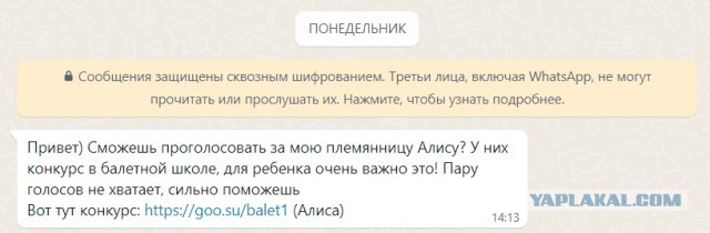 Не голосуйте за «племянницу»