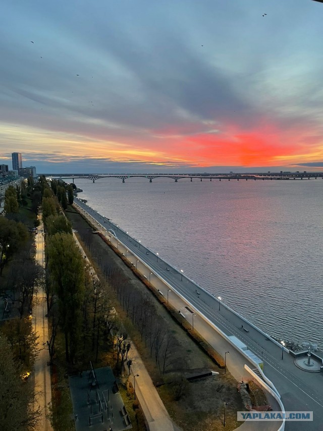 Диагноз: Саратов
