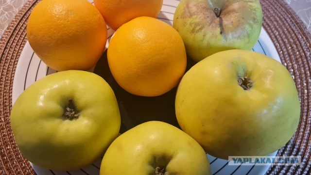 Гусь Новогодний