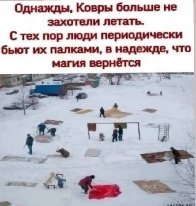 Картинки от Scodero 2024-1