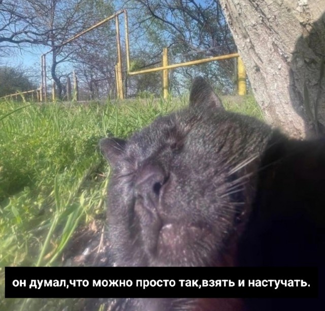 В Подмосковье убит зампред движения «Зов народа» Антон Еговцев