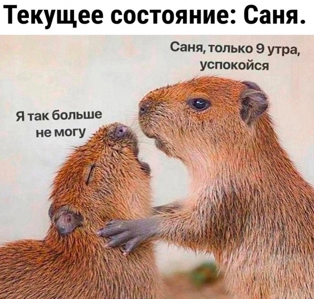 Завалялось тут случайно немного забавных картинок