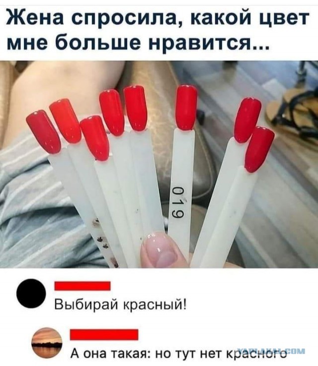 Картинки не для всех