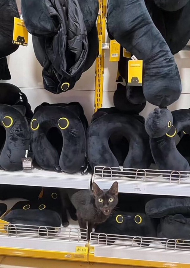 Продавец, отпусти мой народ!