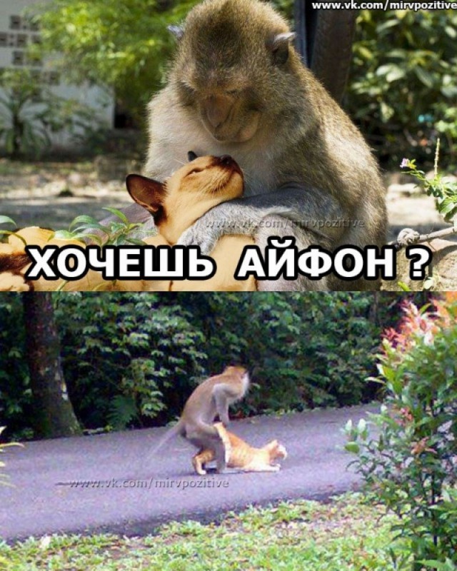 Пятничная дичь
