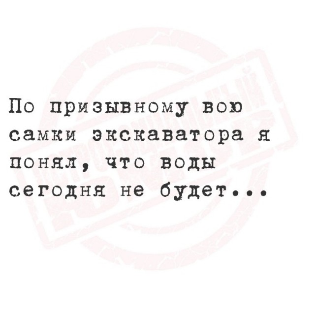 Так себе картинки 10.08.25