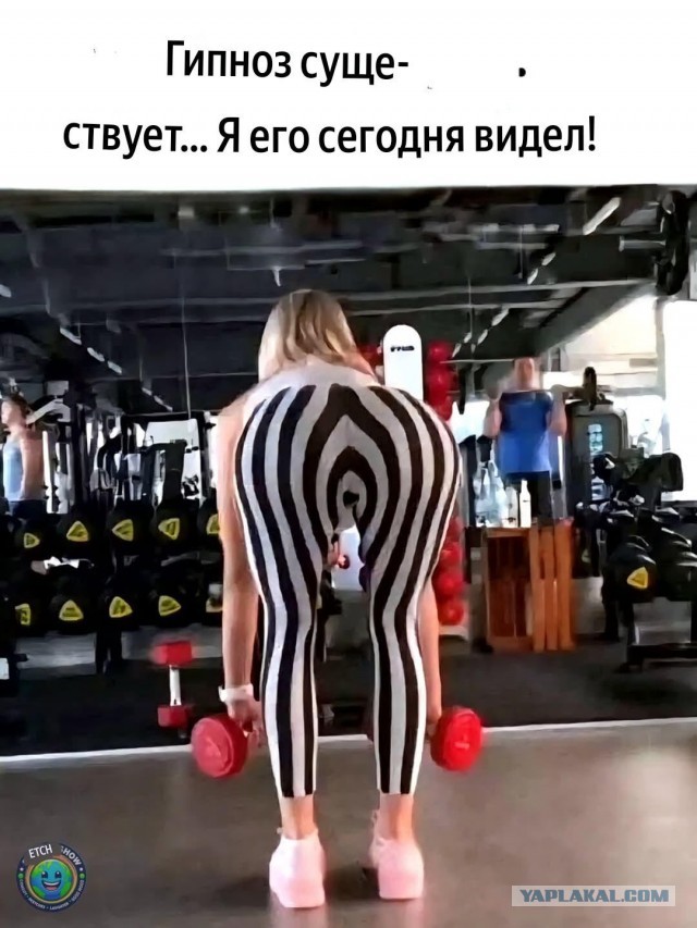 Картинки для деградации 26 (разной степени свежести)