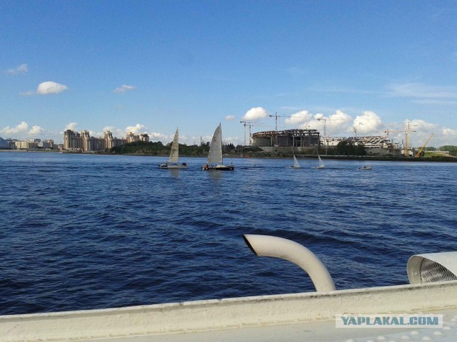 Настоящим жителям С.Пб.