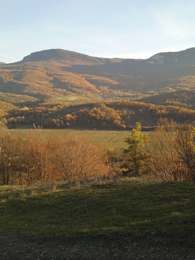 Прогулка по лесу с ножом и блеском в глазах в Крыму