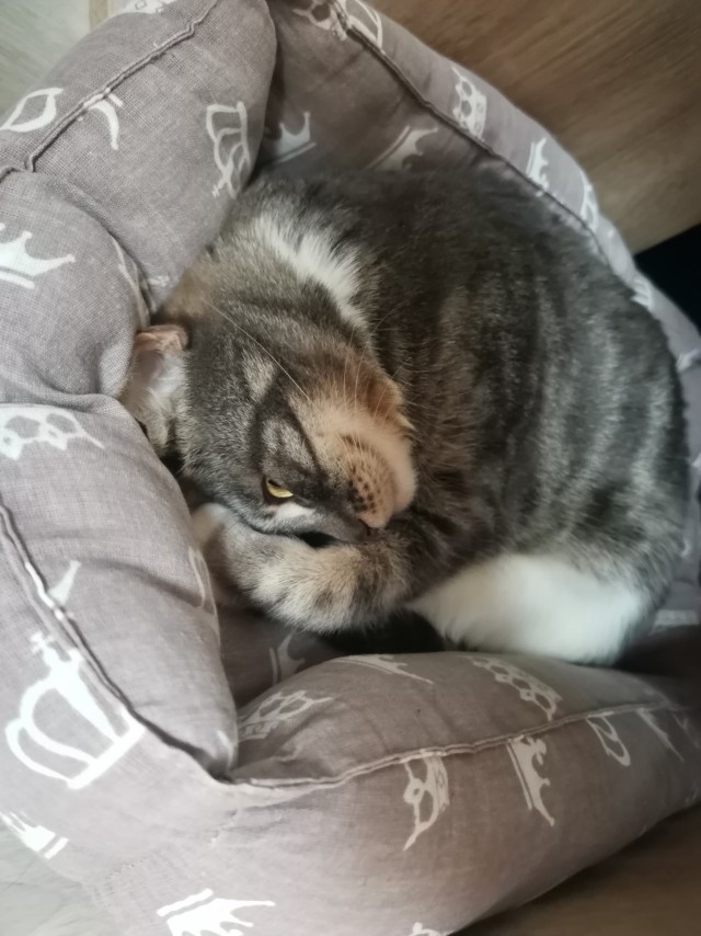 Выбрал раба