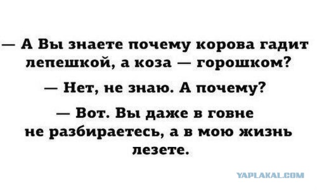 Сколько в нас «нас»? Наука доказывает, что ваше тело вам не принадлежит