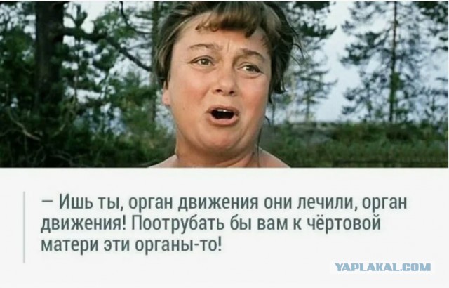 Лечим органы движения