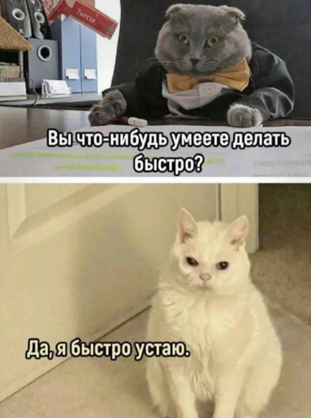 Картиночки, баянчики 20 февраля