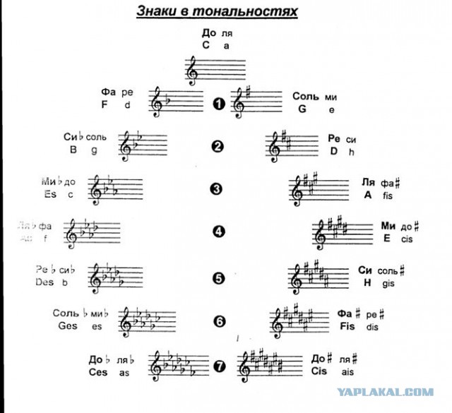 Про музыкантов, дирижеров и музыкальный слух