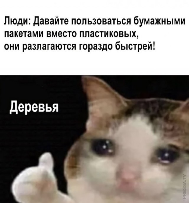 Веселые картинки в пятницу (10.04)