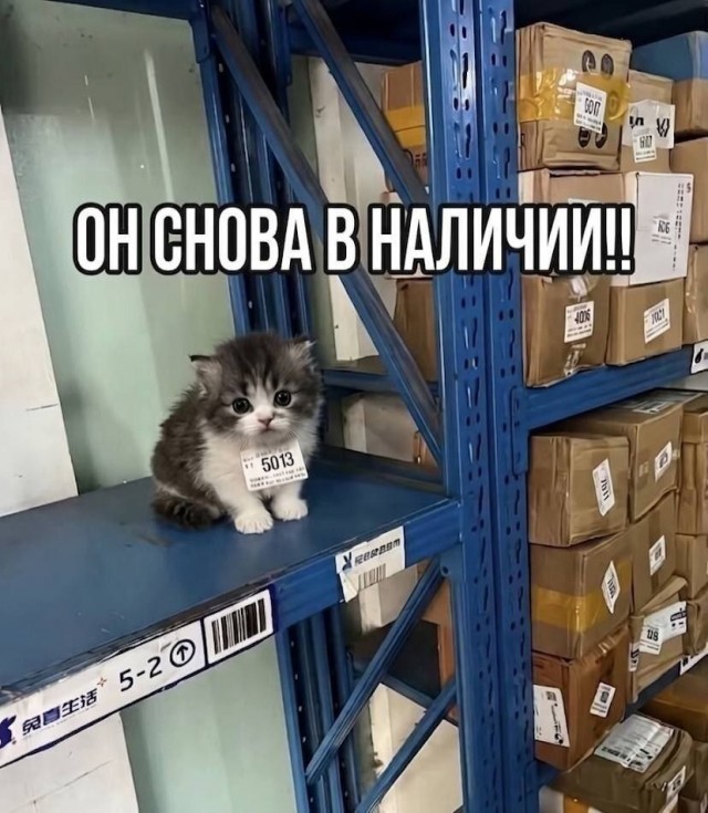 Среды картинки