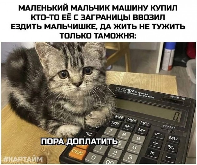 Веселые картинки в маленькую пятницу (10.06)