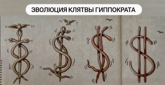Так себе картинки 11.07.26